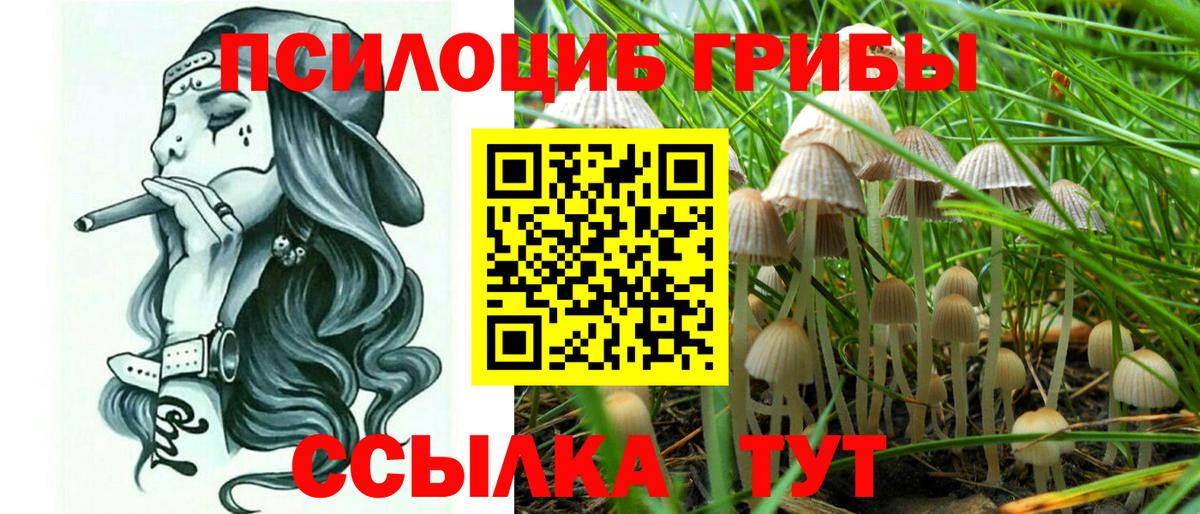 Меф МЯУ МЯУ   Кокаин  Вход с VPN  МЕТ  ГАШИШ  Кинель  ГАШ 