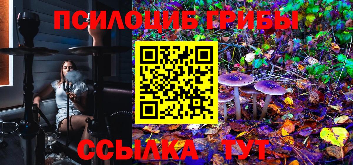 Кинель  Псилоцибиновые грибы Psilocybine cubensis  Галлюциногенные грибы Cubensis  Вход с VPN 