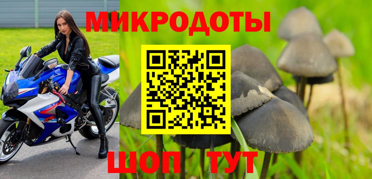 Псилоцибиновые грибы мухоморы Кинель